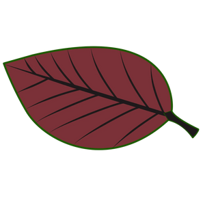 Preference for raw materials from local producers